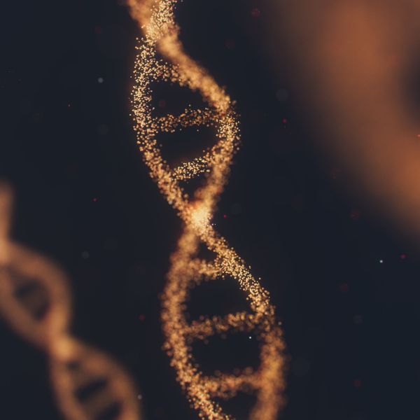 DNA